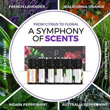 Load image into Gallery viewer, 100% Pure Essential Oils kit- Top 6 Aromatherapy Oils Set-6 Pack, 10ML(Eucalyptus, Lavender, Lemon Grass, Orange, Peppermint, Tea Tree)
